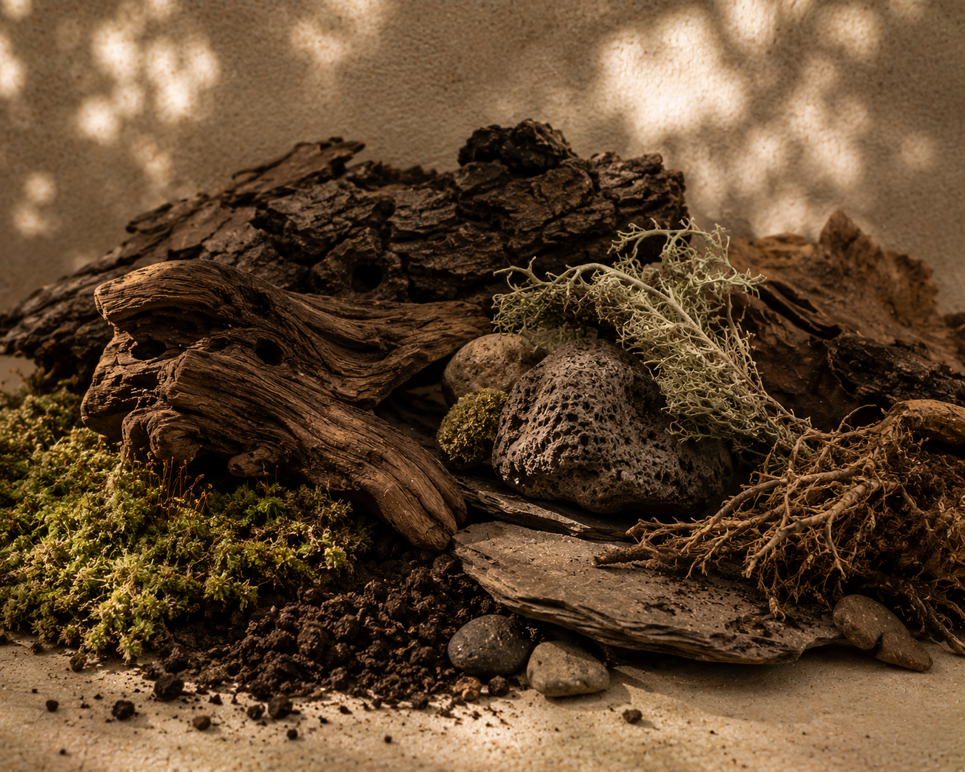 Earthy Collections