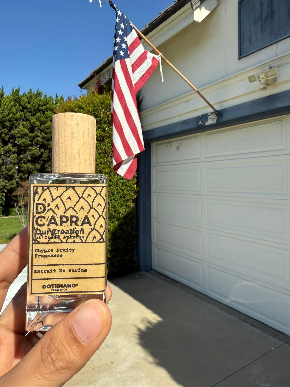 Cotidiano Fragrance