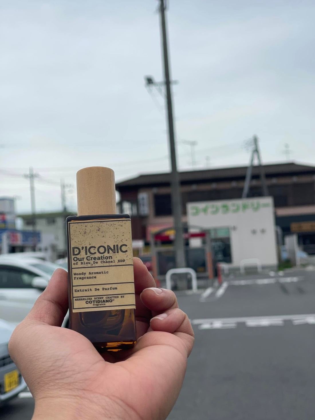 Cotidiano Fragrance