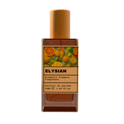 ELYSIAN Aromatic Fougere Fragrance Extrait de Parfum 50ml bottle with natural wooden cap and vibrant mixed citrus illustration label.